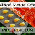 Sildenafil Kamagra 100Mg new01